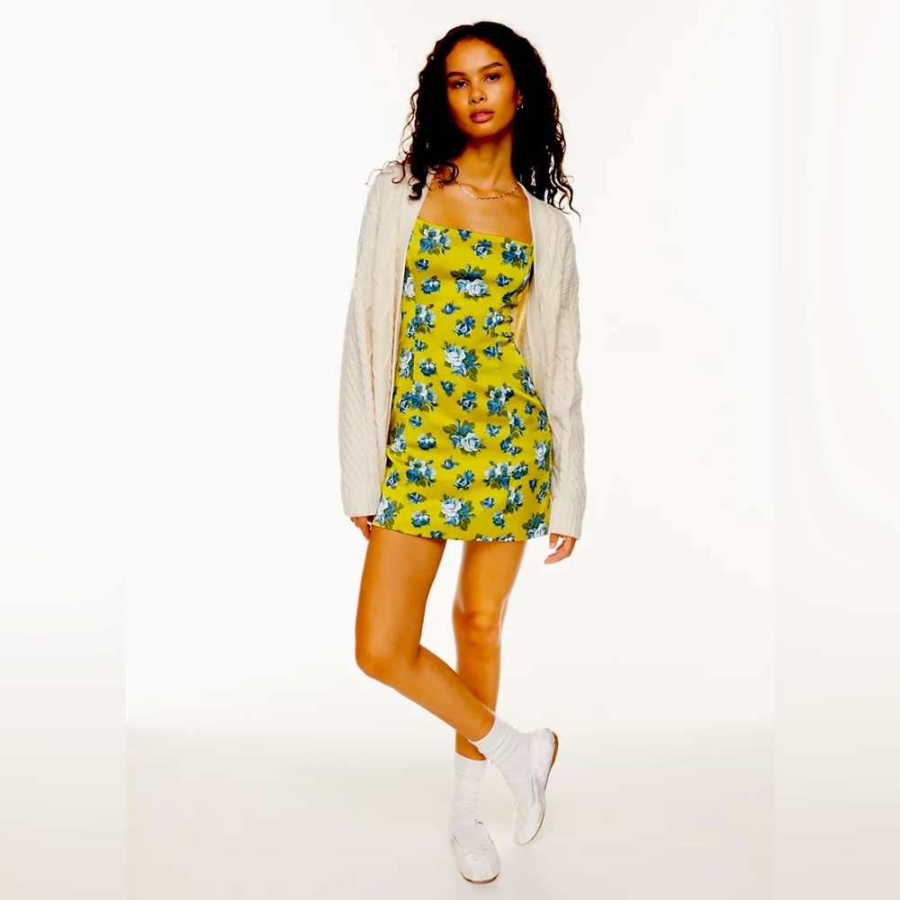 Aritzia Saltin Dress